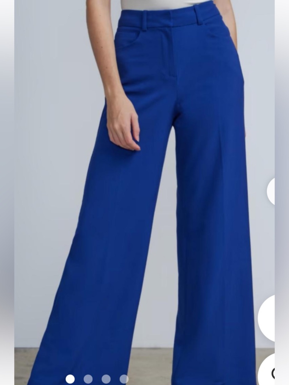 Zac & Rachel Cobalt Blue Medium Wide-Leg Pant